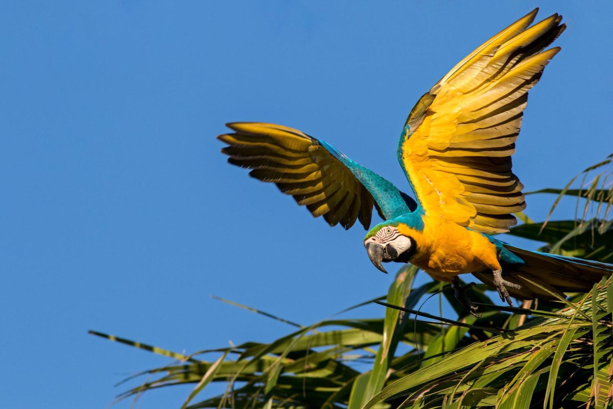 Caiman Lodge - Cuyabeno Nature Amazon Tour Exterior foto
